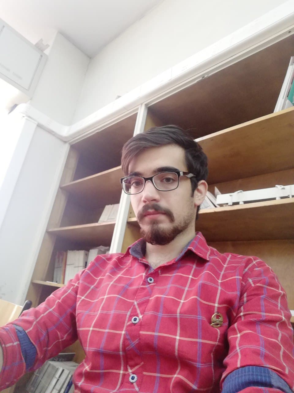 علی گلستانی