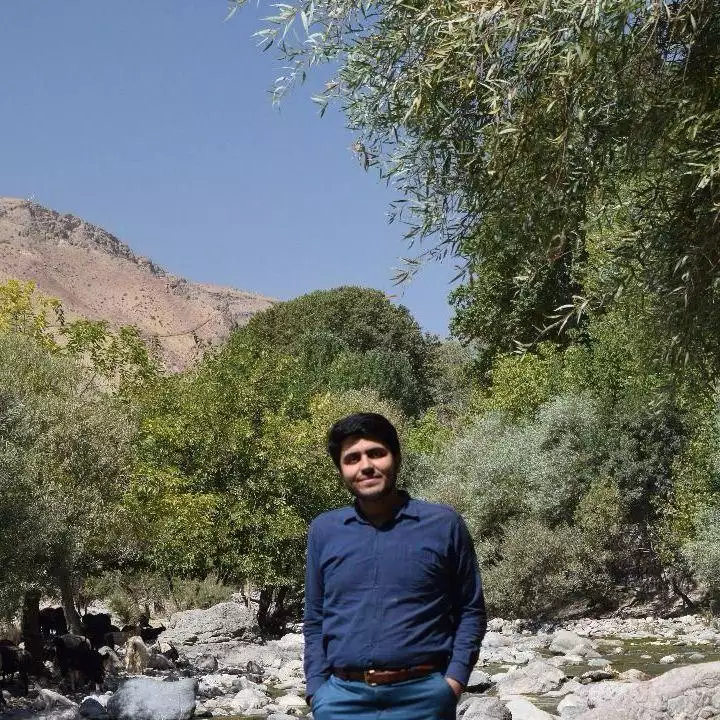 محمد رزمی